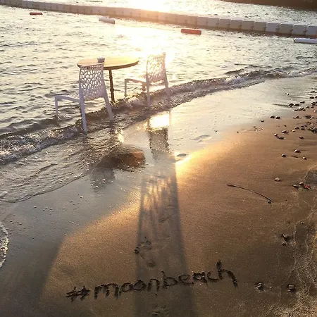 Moon Beach *